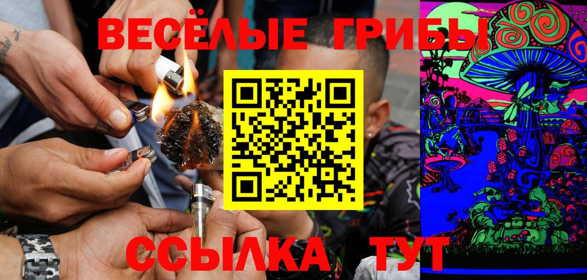 Псилоцибиновые грибы Cubensis  Вход с VPN  Унеча 